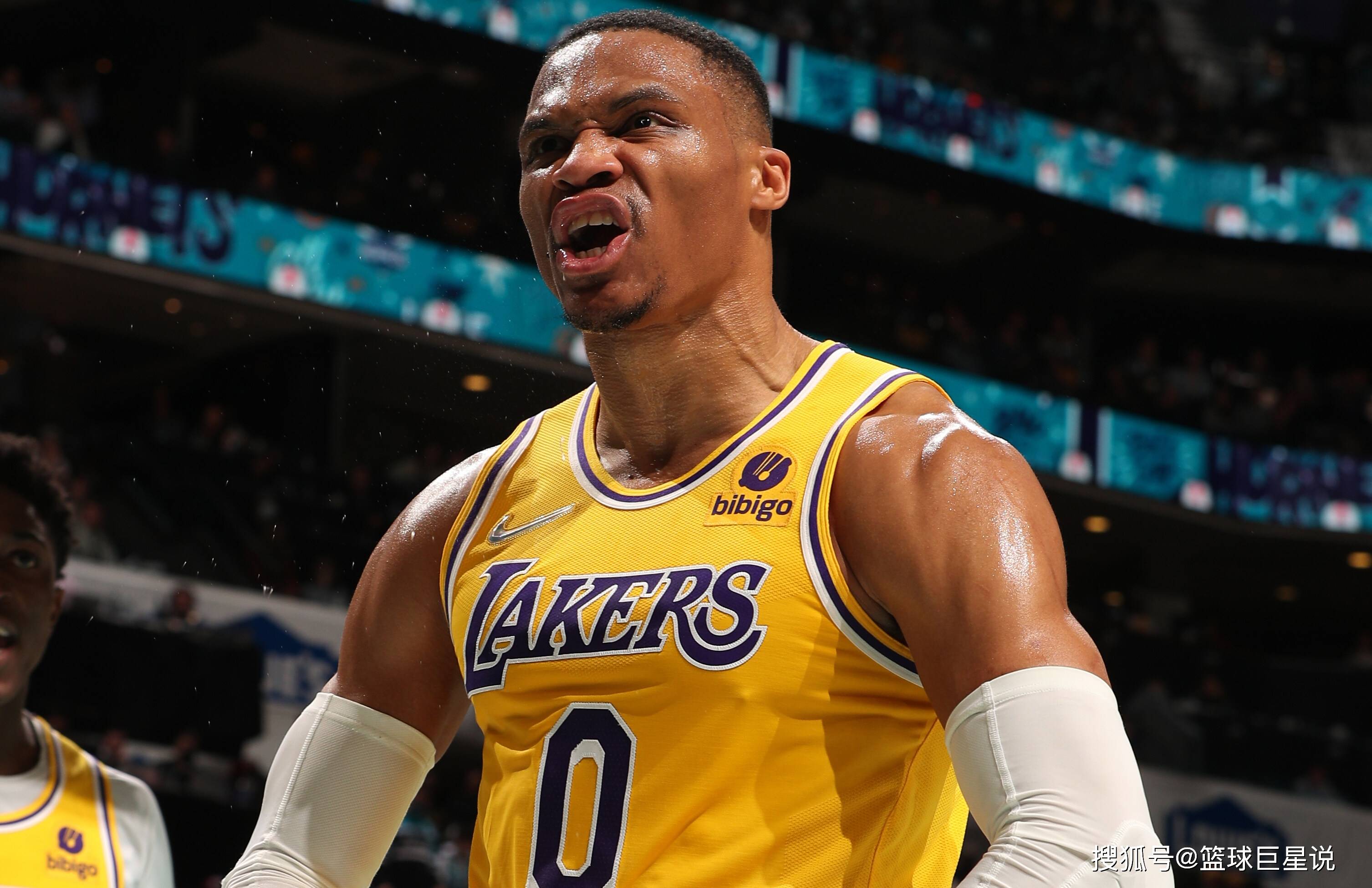 纳入与季度 纳入与季度